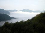 FoggyLandscape