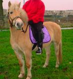 fpaard
