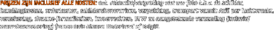 PRIJZEN ZIJN INCLUSIEF ALLE KOSTEN: evt. retouche/vergroting van uw foto t.b.v. de schilder, handlingkosten, orderkosten, schildershonorarium, verpakking, transport vanuit Azi� per luchtvracht, verzekering, douane-formaliteiten, invoerrechten, BTW en aangetekende verzending (inclusief waardeverzekering) franco huis binnen Nederland of Belgi�.