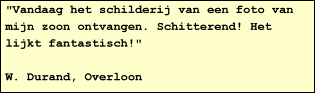 "Vandaag het schilderij van een foto van mijn zoon ontvangen. Schitterend! Het lijkt fantastisch!"