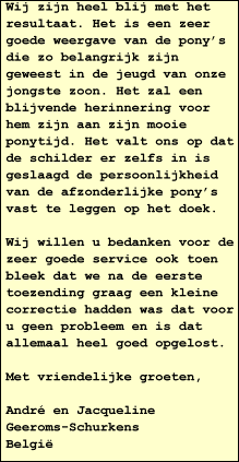 Wij zijn heel blij met het resultaat. Het is een zeer goede weergave van de pony's die zo belangrijk zijn geweest in de jeugd van onze jongste zoon. Het zal een blijvende herinnering voor hem zijn aan zijn mooie ponytijd. Het valt ons op dat de schilder er zelfs in is geslaagd de persoonlijkheid van de afzonderlijke pony's vast te leggen op het doek.