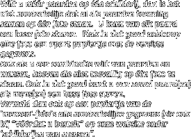 Wilt u m��r paarden op ��n schilderij, dan is het niet noodzakelijk dat al die paarden toevallig samen op ��n foto staan.  U kunt van elk paard een losse foto sturen.  Plak in dat geval achterop elke foto een apart papiertje met de vereiste gegevens.