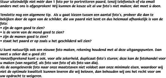 Stuur uiteindelijk niet m��r dan 1 foto per te portretteren paard, tenzij telefonisch of via email anders met ons is afgesproken! W�j kunnen de keuze uit al uw foto's niet maken; dat moet � doen.
