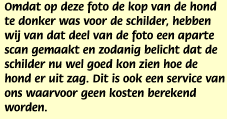 Omdat op deze foto de kop van de hond te donker was voor de schilder, hebben wij van dat deel van de foto een aparte scan gemaakt en zodanig belicht dat de schilder nu wel goed kon zien hoe de hond er uit zag. Dit is ook een service van ons waarvoor geen kosten berekend worden.