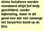 Kleine huisdieren worden standaard altijd full body geschilderd, zonder bijbetaling, maar in dit geval kon dat niet vanwege het berperkte beeld op de foto